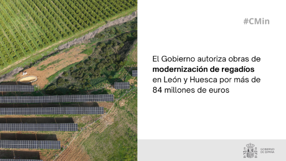 Hoy, en Consejo de Ministros