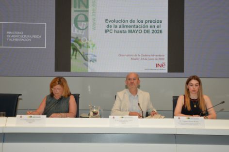 Segunda sesión plenaria del año 2026