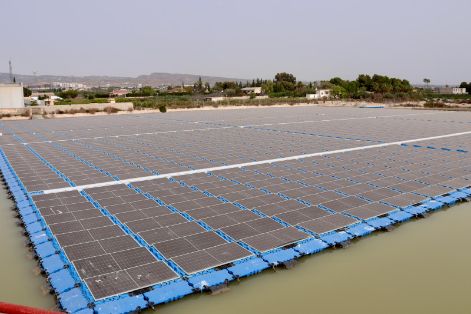 Hoy, en la Comunidad General Riegos del Levante Margen Izquierda del Segura