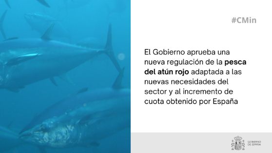 Hoy, en Consejo de Ministros