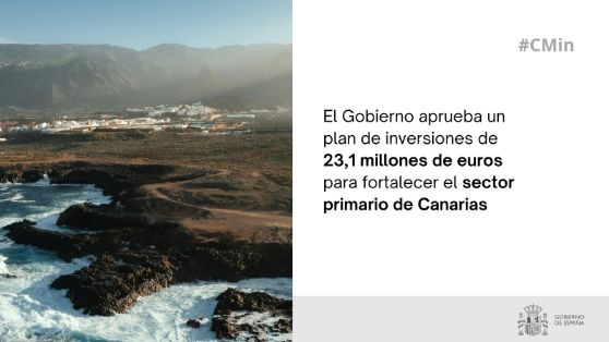 Hoy, en Consejo de Ministros