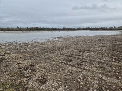Ayudas extraordinarias para el sector agrario por daños de las borrascas