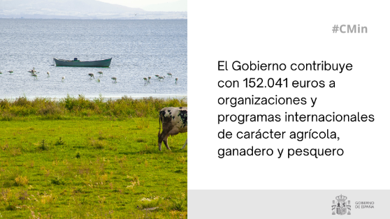 Hoy, en el Consejo de Ministros