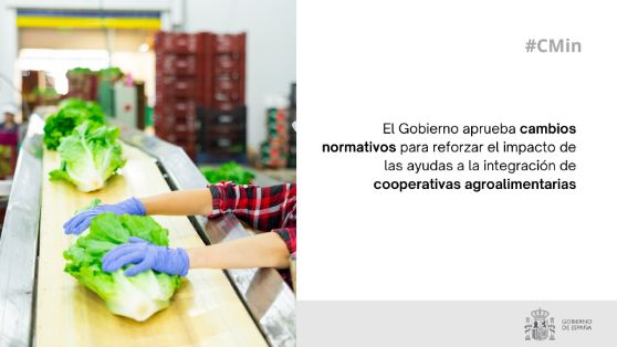 Hoy, en Consejo de Ministros