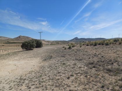 Con financiación de fondos Next Generation de la Unión Europea 