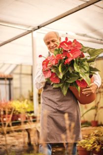 El sector ha sido uno de los afectados por la crisis de la COVID-19