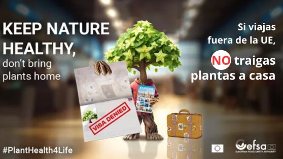 El programa #PlantHealth4Life cuenta con la participación de 22 Estados miembros de la Unión Europea (UE) 