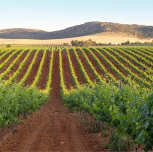 Publicado hoy en el Diario Oficial de la Unión Europea