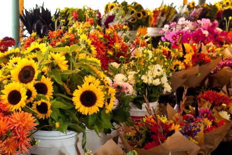 EL PROYECTO DE REAL DECRETO SE PODRÁ CONSULTAR EN LA WEB DEL MAPA