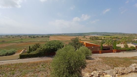 Con un plazo de ejecución de 24 meses