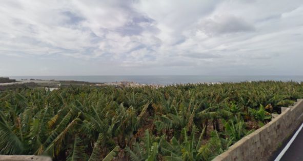 A través de la empresa pública SEIASA