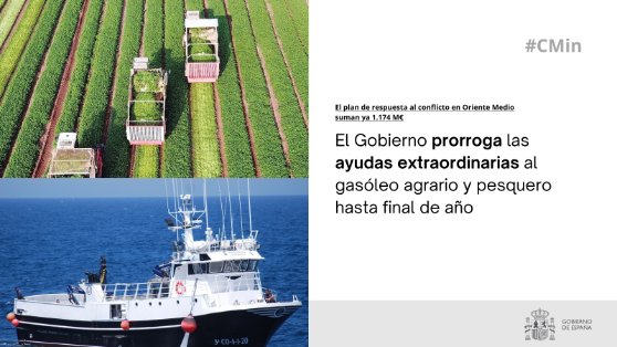 Hoy, en Consejo de Ministros