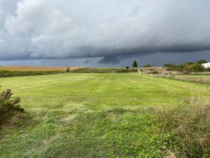 MEDIANTE UNA ORDEN MINISTERIAL PUBLICADA HOY EN EL BOE  