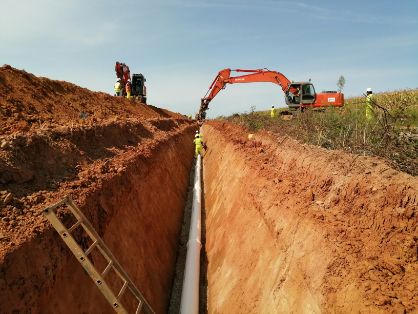 PROMOVIDAS POR EL MINISTERIO DE AGRICULTURA, PESCA Y ALIMENTACIÓN 
