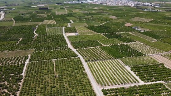 Con fondos del Plan de Recuperación, Transformación y Resiliencia