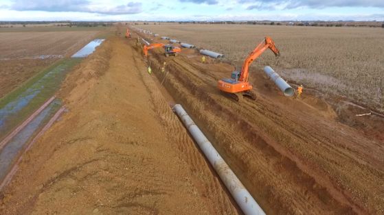 PROMOVIDAS POR EL MINISTERIO DE AGRICULTURA, PESCA Y ALIMENTACIÓN 