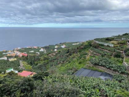 PROMOVIDAS POR EL MINISTERIO DE AGRICULTURA, PESCA Y ALIMENTACIÓN