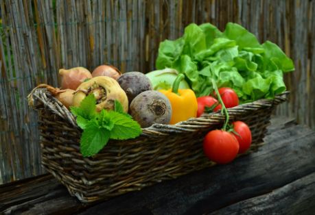 PUBLICADOS, HOY, LOS DATOS DE PRODUCCIÓN ECOLÓGICA DE 2021 EN LA WEB DEL MAPA  