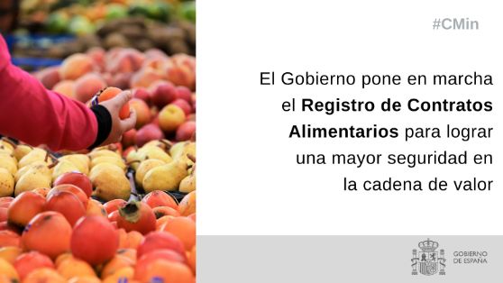 MEDIANTE UN REAL DECRETO APROBADO EN CONSEJO DE MINISTROS  