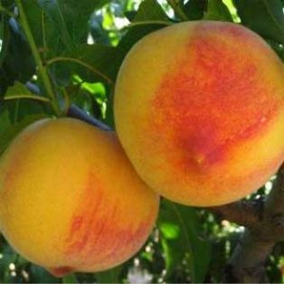 PARA LOGRAR UN EQUILIBRIO ENTRE OFERTA Y DEMANDA 