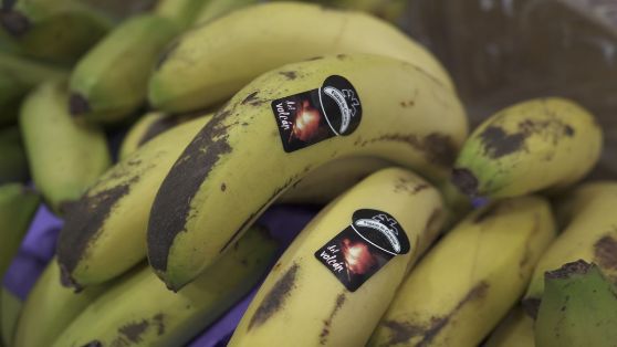 Entre el 22 de diciembre y el 5 de enero 

