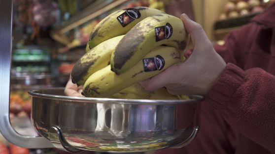 Entre el 22 de diciembre y el 5 de enero 

