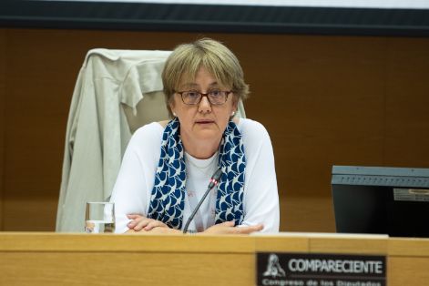 HOY, EN EL CONGRESO DE LOS DIPUTADOS 