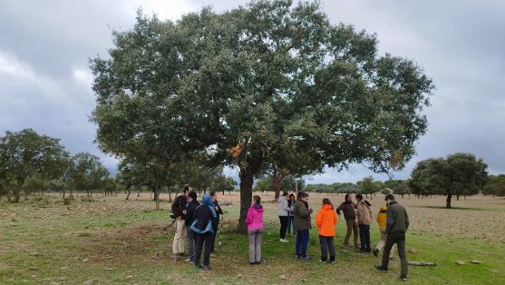 En la reunión anual celebrada en Madrid, con ocasión de la Presidencia española del Consejo 