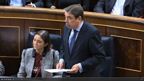 HOY, EN EL CONGRESO DE LOS DIPUTADOS 