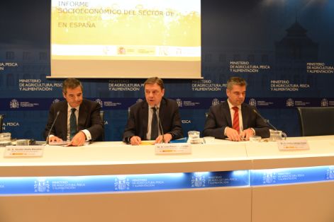 Hoy, en la presentación del Informe Socioeconómico del sector de la cerveza en España 2018