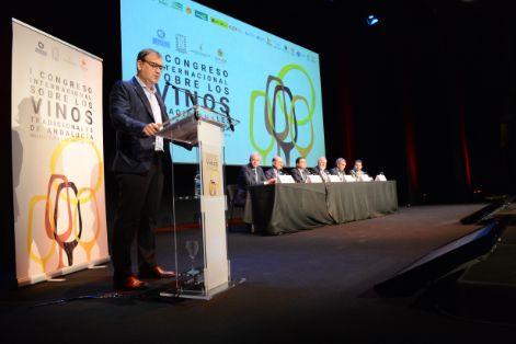 Hoy, en la clausura del Congreso Internacional de los Vinos Tradicionales de Andalucía 
