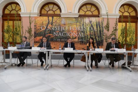 HOY EN EL CONSEJO FORESTAL NACIONAL  