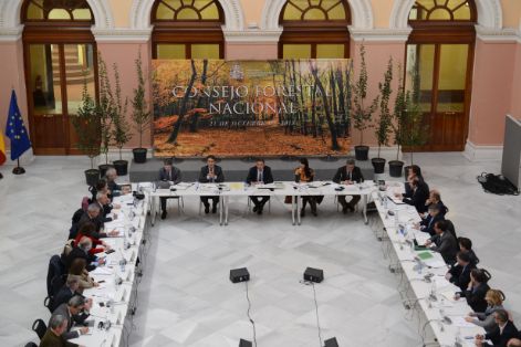 HOY EN EL CONSEJO FORESTAL NACIONAL  