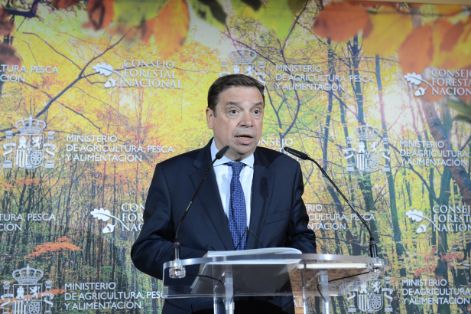 HOY EN EL CONSEJO FORESTAL NACIONAL  