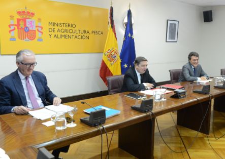 EN UNA REUNIÓN CELEBRADA HOY, POR VIDEOCONFERENCIA 