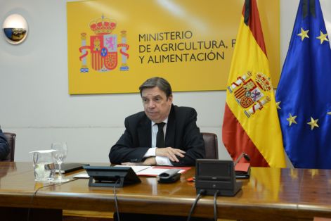 EN UNA REUNIÓN CELEBRADA HOY, POR VIDEOCONFERENCIA 