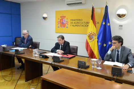 EN UNA REUNIÓN CELEBRADA HOY, POR VIDEOCONFERENCIA 