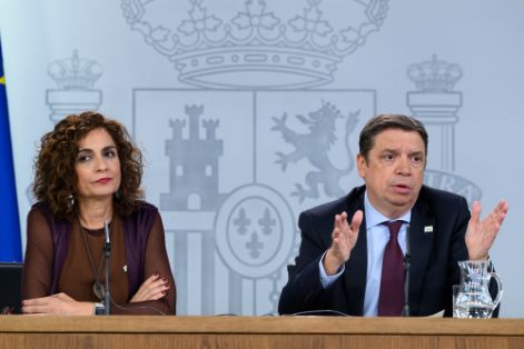 Según ha detallado el ministro Luis Planas tras el Consejo de Ministros