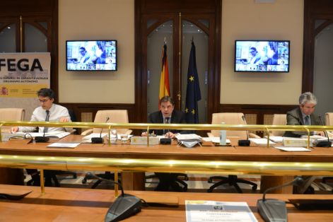 EN LA REUNIÓN DEL CONSEJO CONSULTIVO DE POLÍTICA AGRÍCOLA 