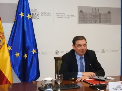 Hoy, en el seminario virtual organizado por la Asociación Española de Municipios del Olivo (AEMO) y el Consorcio Feria del Olivo de Montoro