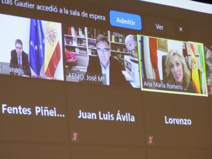 Hoy, en el seminario virtual organizado por la Asociación Española de Municipios del Olivo (AEMO) y el Consorcio Feria del Olivo de Montoro