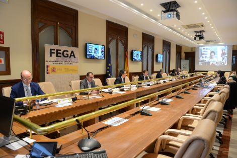 MEDIANTE VIDEOCONFERENCIA Y PRESIDIDA POR EL MINISTRO LUIS PLANAS 