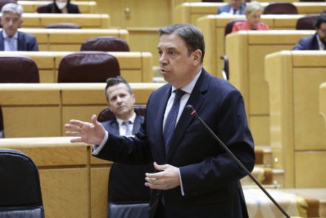 Hoy, en el Pleno del Senado