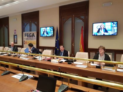 EN LA REUNIÓN CELEBRADA HOY POR VIDEOCONFERENCIA 