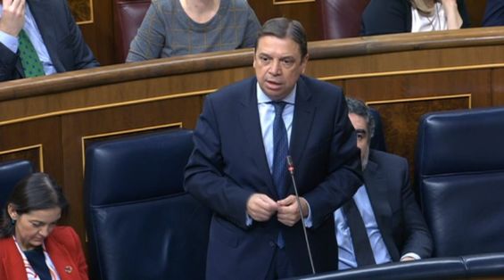 Hoy, en el Pleno del Congreso de los Diputados 