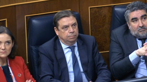 Hoy, en el Pleno del Congreso de los Diputados 