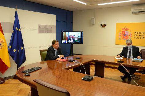 Hoy por videoconferencia