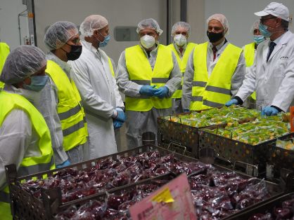 HOY, EN SAN MIGUEL DEL ARROYO (VALLADOLID)