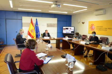Luis Planas ha presidido hoy los Consejos Consultivos de Política Pesquera y de Política Agraria para Asuntos Comunitarios