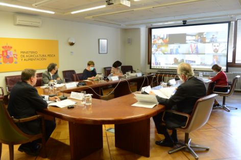 Luis Planas ha presidido hoy los Consejos Consultivos de Política Pesquera y de Política Agraria para Asuntos Comunitarios